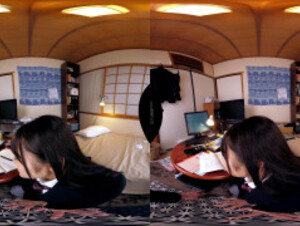 姫咲はな 【VR】爆乳Iカップ教え子を自宅に呼び私物のスクール水着をきせて… DSVR-760 - 1