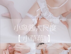 中國第一童顏巨乳 Coser 小鳥醬 小草莓第1季6T大尺度完整版 1